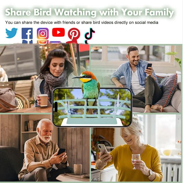 Comedero Inteligente para Aves con Cámara Solar IA | App VicoHome | Impermeable Tigershopping