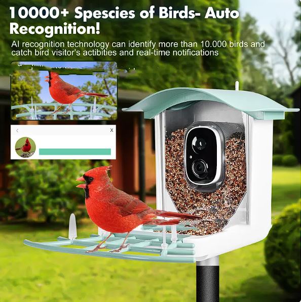 Comedero Inteligente para Aves con Cámara Solar IA | App VicoHome | Impermeable Tigershopping