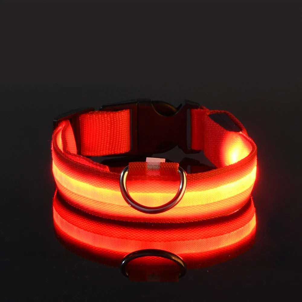 Jamzry™ Correa y Collar LED para Perros — Seguridad y Visibilidad Nocturna Tigershopping