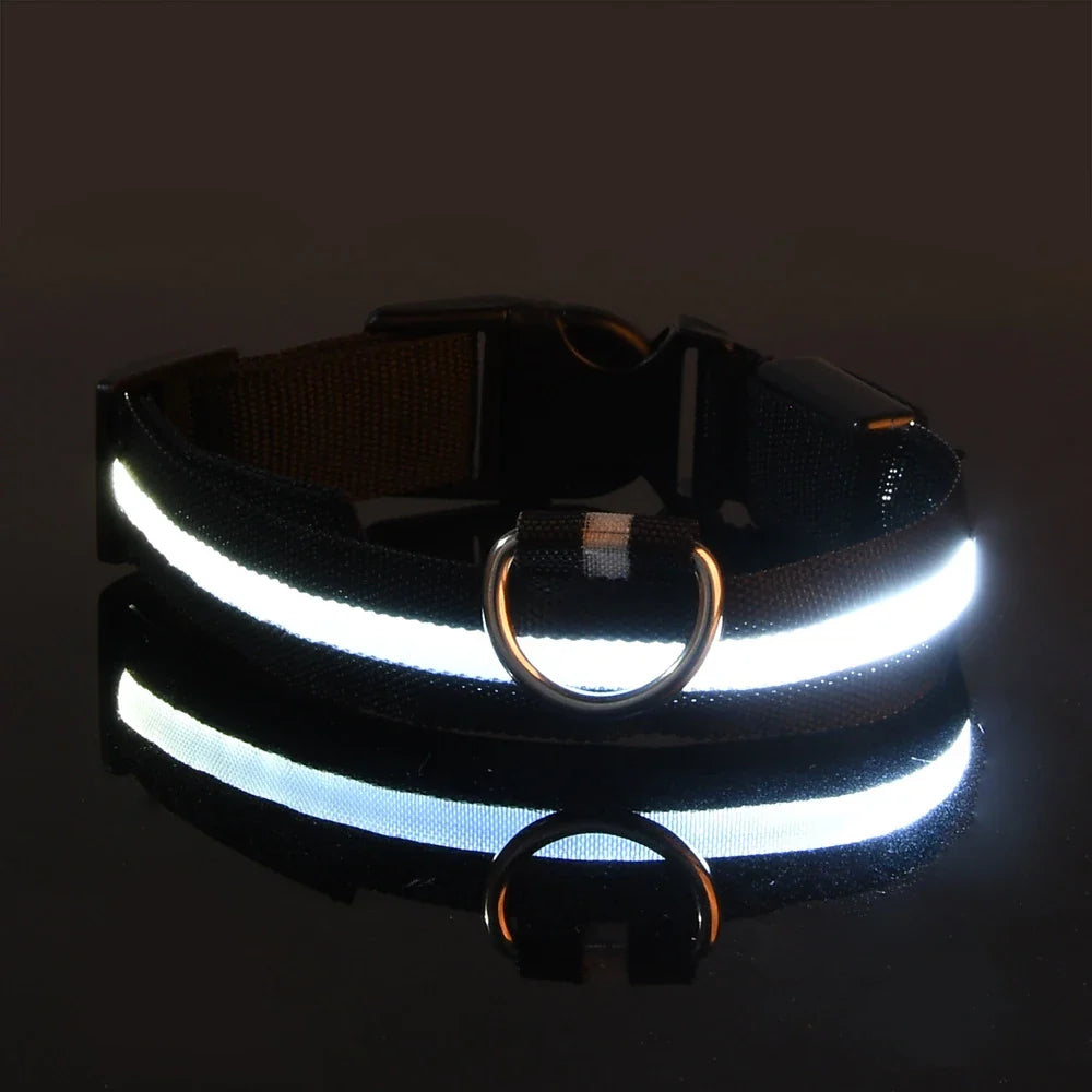 Jamzry™ Correa y Collar LED para Perros — Seguridad y Visibilidad Nocturna Tigershopping