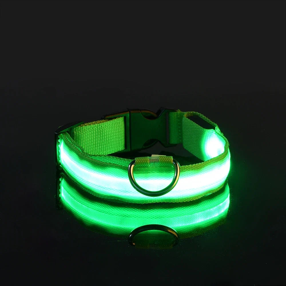 Jamzry™ Correa y Collar LED para Perros — Seguridad y Visibilidad Nocturna Tigershopping