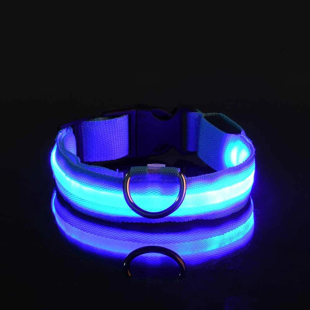 Jamzry™ Correa y Collar LED para Perros — Seguridad y Visibilidad Nocturna Tigershopping