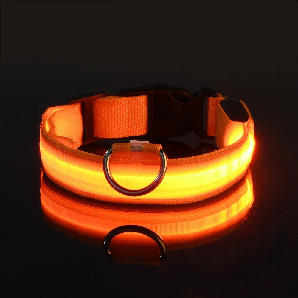Jamzry™ Correa y Collar LED para Perros — Seguridad y Visibilidad Nocturna Tigershopping