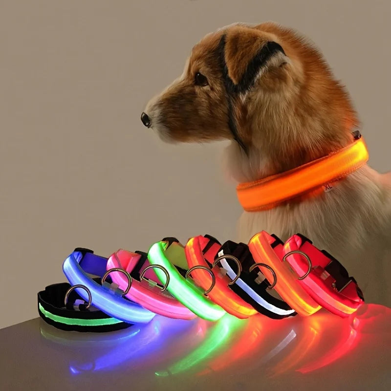 Jamzry™ Correa y Collar LED para Perros — Seguridad y Visibilidad Nocturna Tigershopping