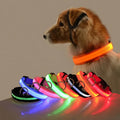 Jamzry™ Correa y Collar LED para Perros — Seguridad y Visibilidad Nocturna Tigershopping