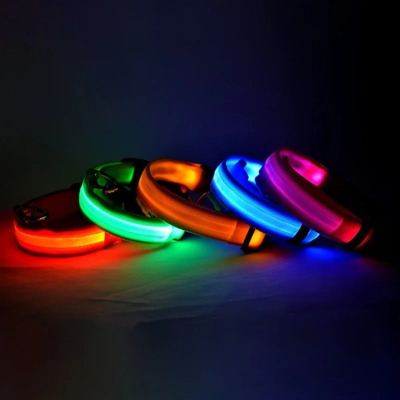Jamzry™ Correa y Collar LED para Perros — Seguridad y Visibilidad Nocturna Tigershopping