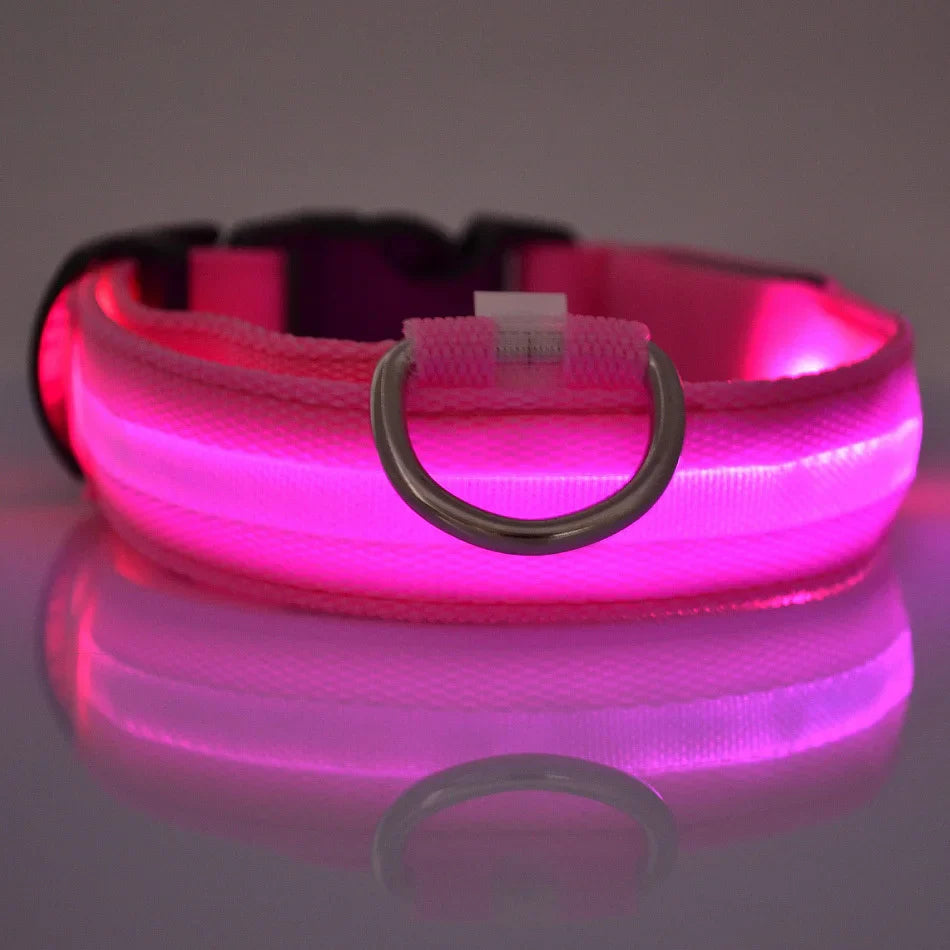 Jamzry™ Correa y Collar LED para Perros — Seguridad y Visibilidad Nocturna Tigershopping