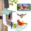 Comedero Inteligente para Aves con Cámara Solar IA | App VicoHome | Impermeable Tigershopping