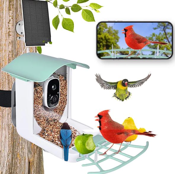 Comedero Inteligente para Aves con Cámara Solar IA | App VicoHome | Impermeable Tigershopping